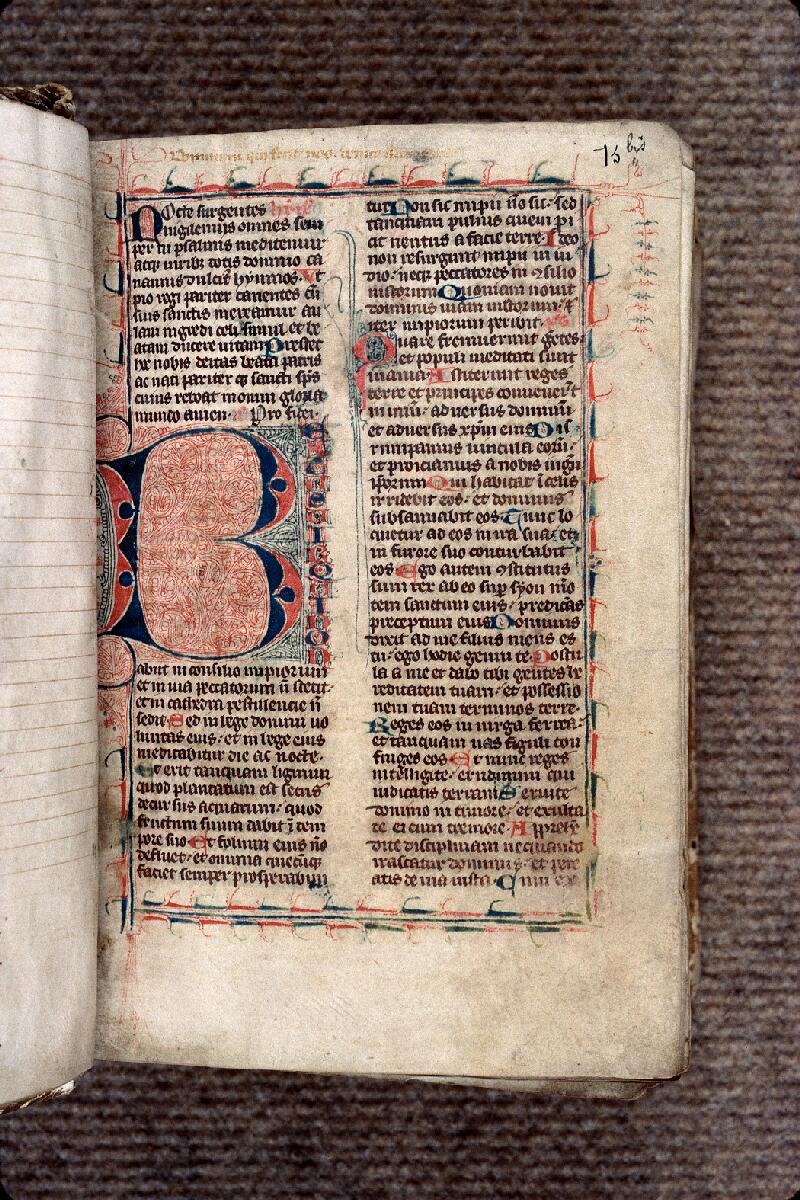 Provins, Bibl. mun., ms. 0008, f. 015 bis - vue 2