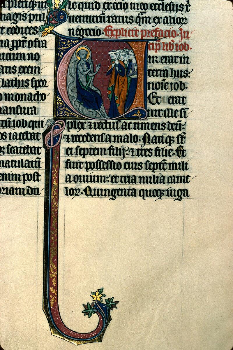 Reims, Bibl. mun., ms. 0040, f. 223v - vue 1