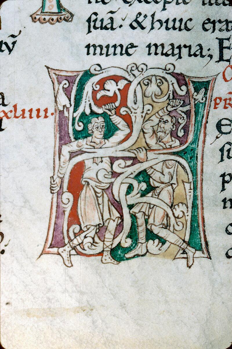Reims, Bibl. mun., ms. 0295, f. 126v - vue 2