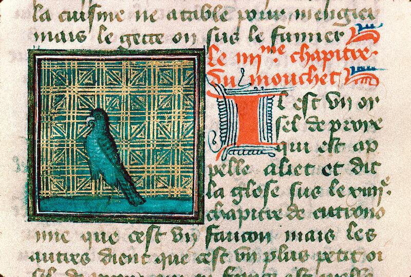 Reims, Bibl. mun., ms. 0993, f. 151v - vue 1