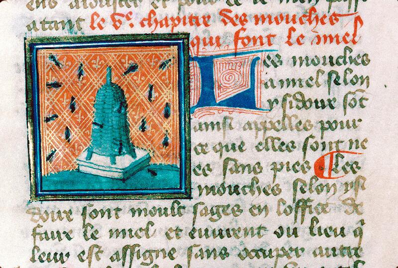 Reims, Bibl. mun., ms. 0993, f. 151v - vue 2