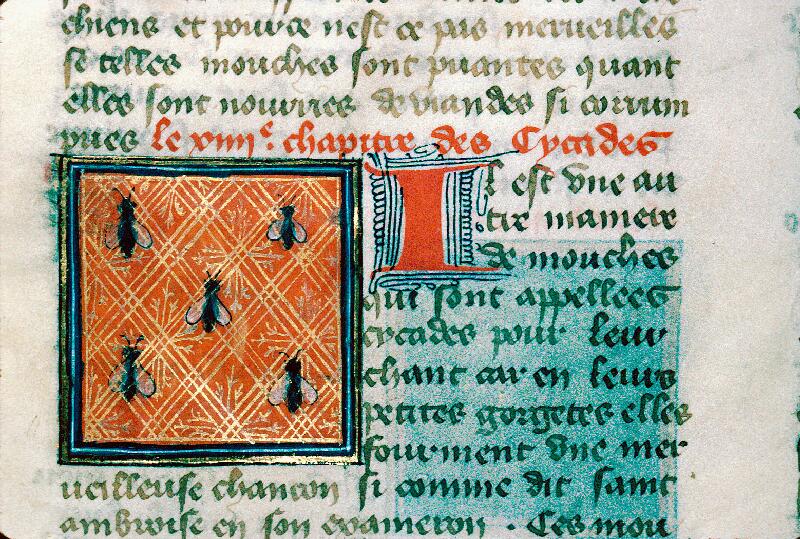 Reims, Bibl. mun., ms. 0993, f. 155v - vue 2