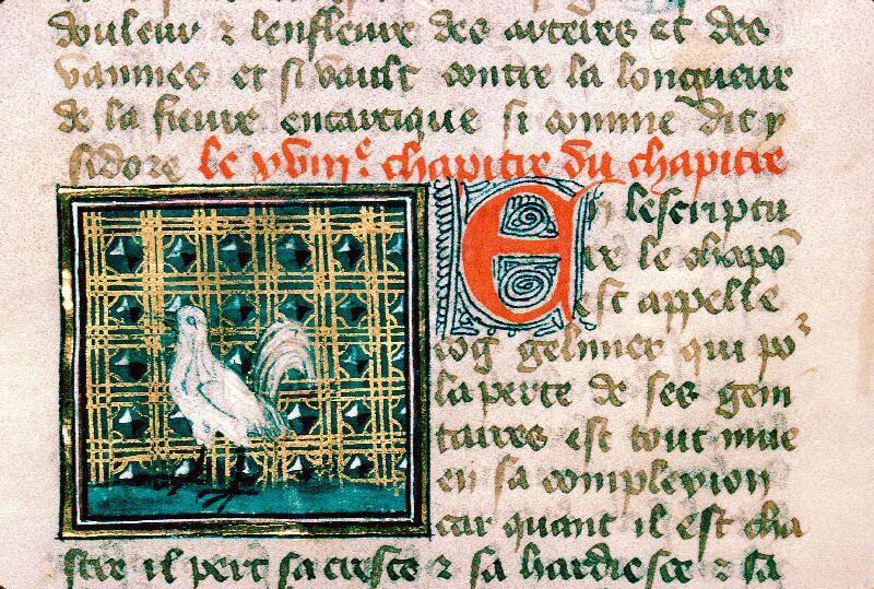 Reims, Bibl. mun., ms. 0993, f. 156v - vue 1