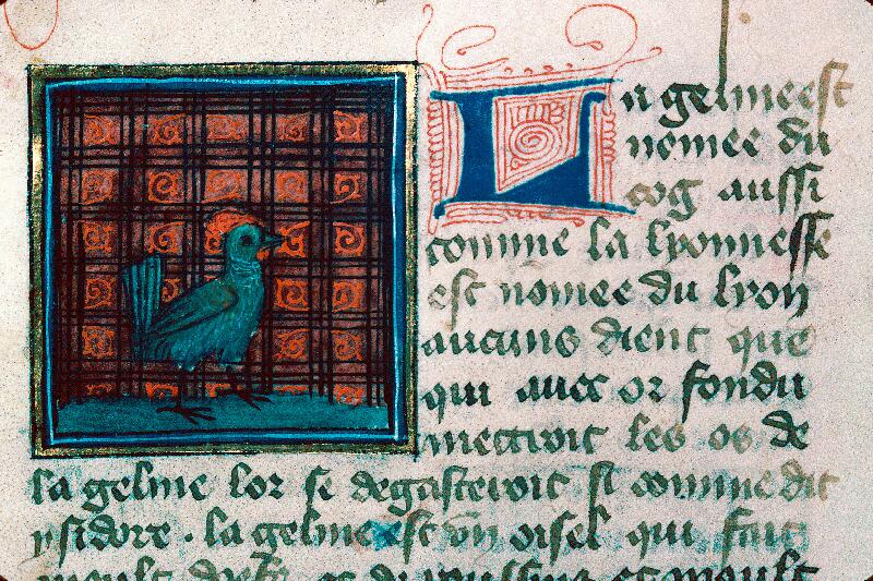 Reims, Bibl. mun., ms. 0993, f. 156v - vue 2