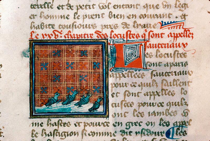 Reims, Bibl. mun., ms. 0993, f. 157v - vue 3