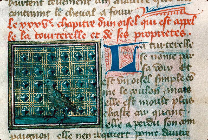 Reims, Bibl. mun., ms. 0993, f. 159v - vue 2