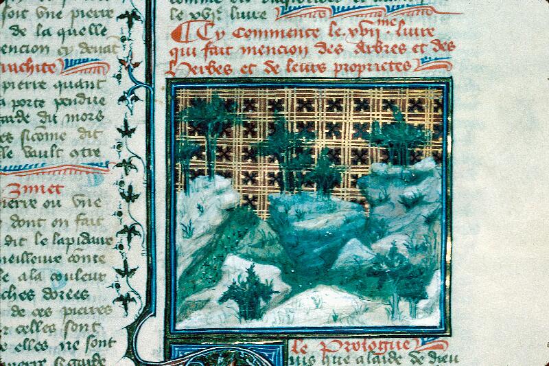 Reims, Bibl. mun., ms. 0993, f. 213