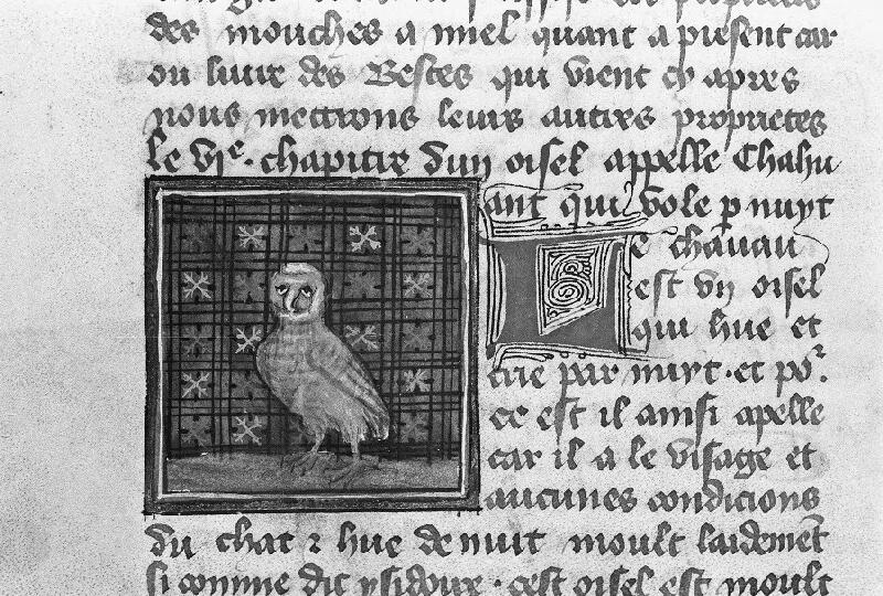 Reims, Bibl. mun., ms. 0993, f. 153 - vue 1