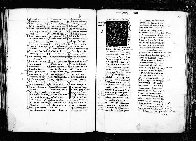 REIMS, Bibliothèque municipale, 0460 (E. 375), f. 217v - 218
