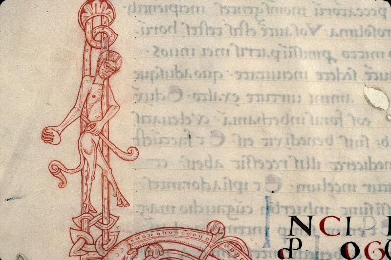 Rouen, Bibl. mun., ms. 0032, f. 145v - vue 2