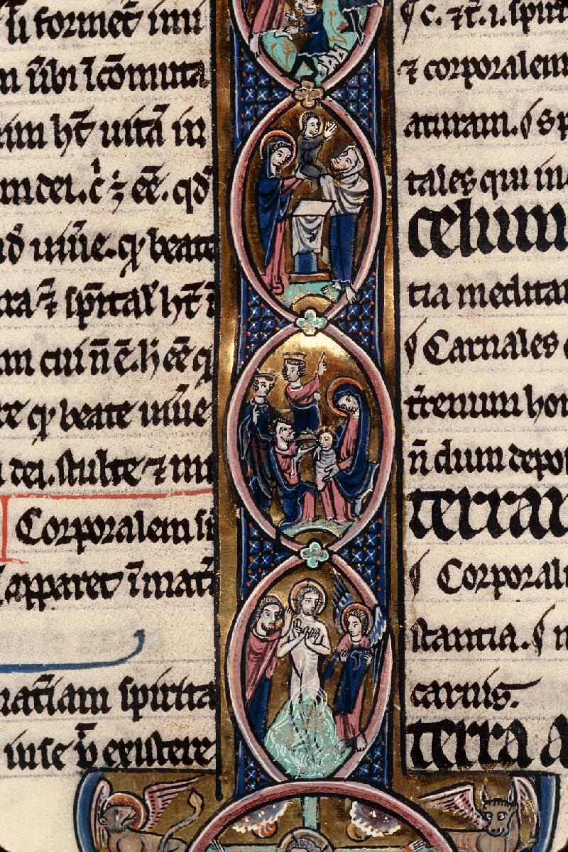 Rouen, Bibl. mun., ms. 0037, f. 012v - vue 6