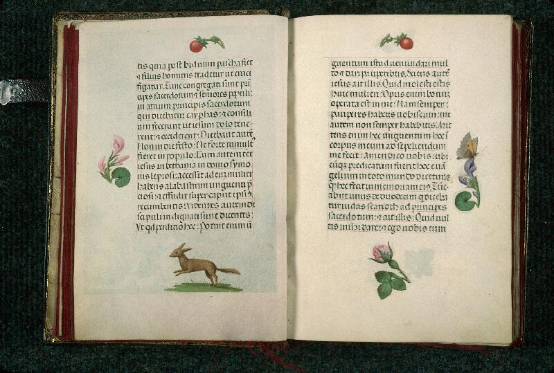 Rouen, Bibl. mun., ms. 3028, f. 014v-015