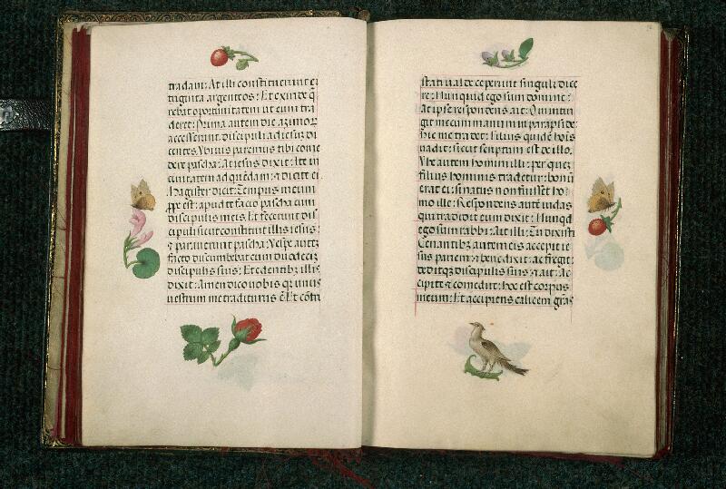 Rouen, Bibl. mun., ms. 3028, f. 015v-016