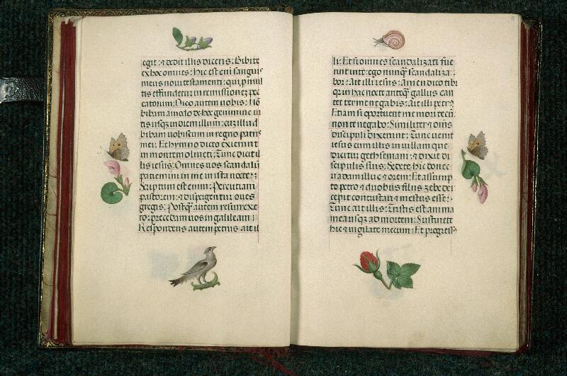 Rouen, Bibl. mun., ms. 3028, f. 016v-017