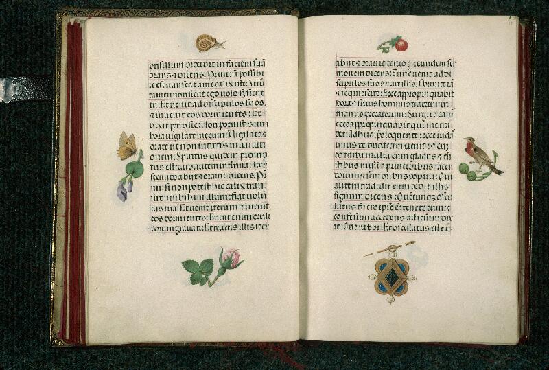 Rouen, Bibl. mun., ms. 3028, f. 017v-018