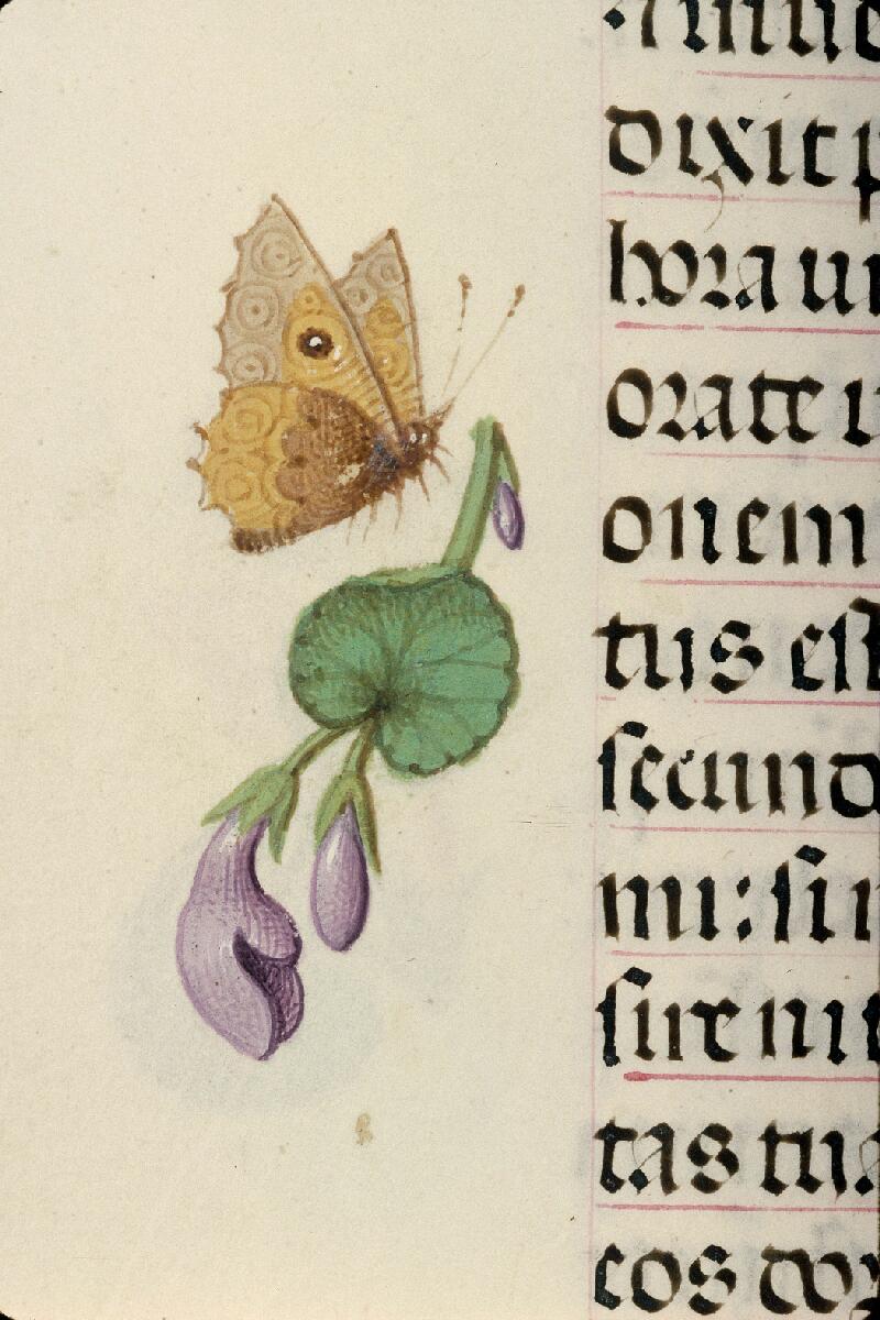 Rouen, Bibl. mun., ms. 3028, f. 017v - vue 2