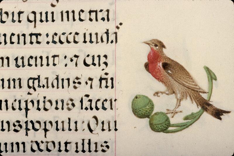 Rouen, Bibl. mun., ms. 3028, f. 018 - vue 1