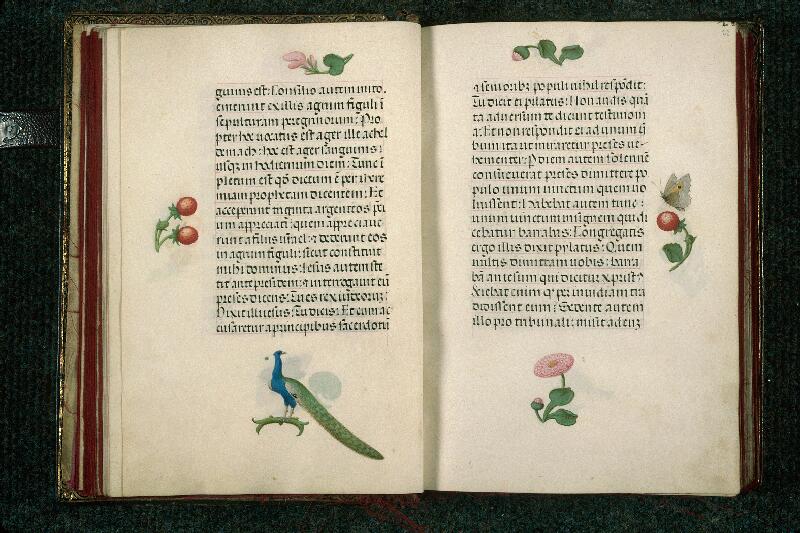 Rouen, Bibl. mun., ms. 3028, f. 021v-022