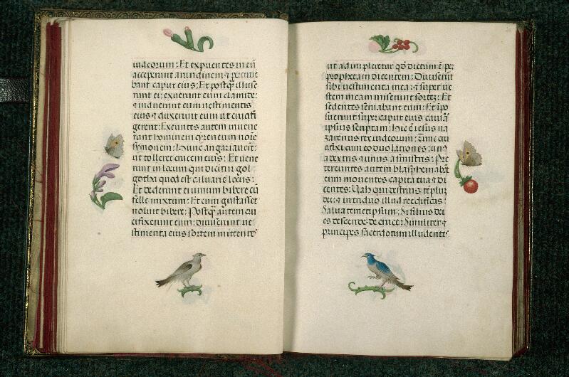 Rouen, Bibl. mun., ms. 3028, f. 023v-024
