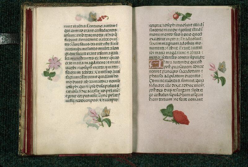 Rouen, Bibl. mun., ms. 3028, f. 025v-026