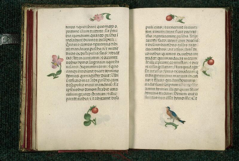 Rouen, Bibl. mun., ms. 3028, f. 028v-029