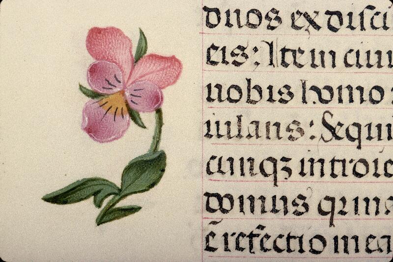 Rouen, Bibl. mun., ms. 3028, f. 028v