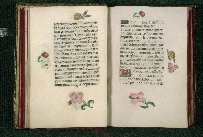 Rouen, Bibl. mun., ms. 3028, f. 036v-037