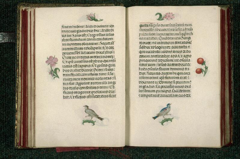 Rouen, Bibl. mun., ms. 3028, f. 041v-042