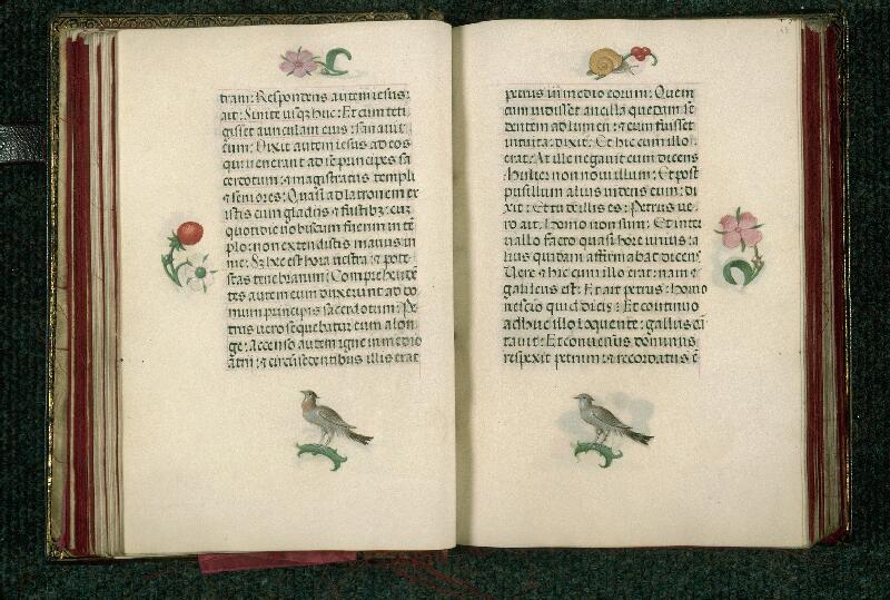 Rouen, Bibl. mun., ms. 3028, f. 042v-043