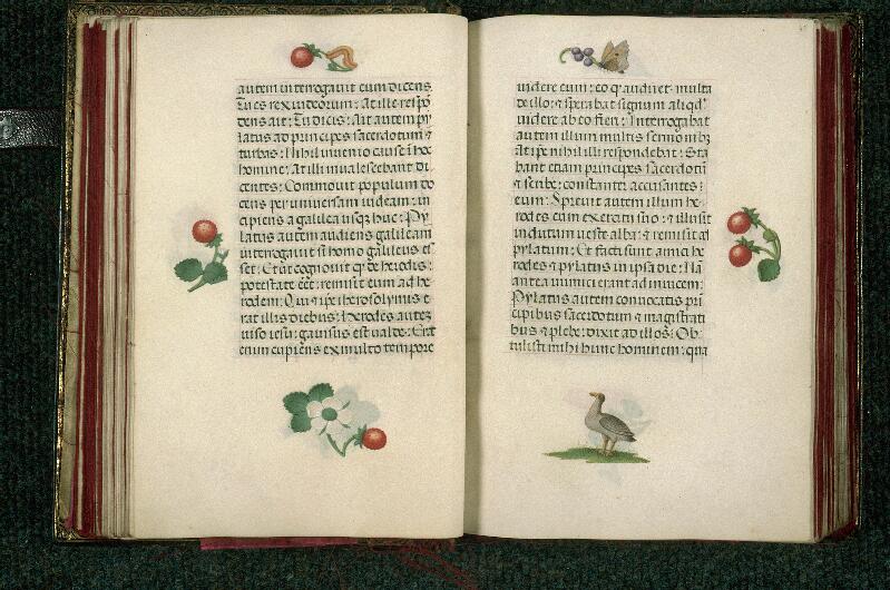 Rouen, Bibl. mun., ms. 3028, f. 044v-045