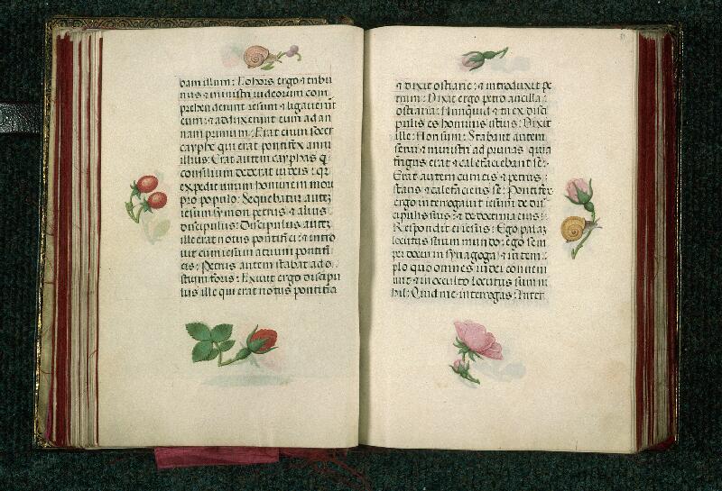 Rouen, Bibl. mun., ms. 3028, f. 050v-051