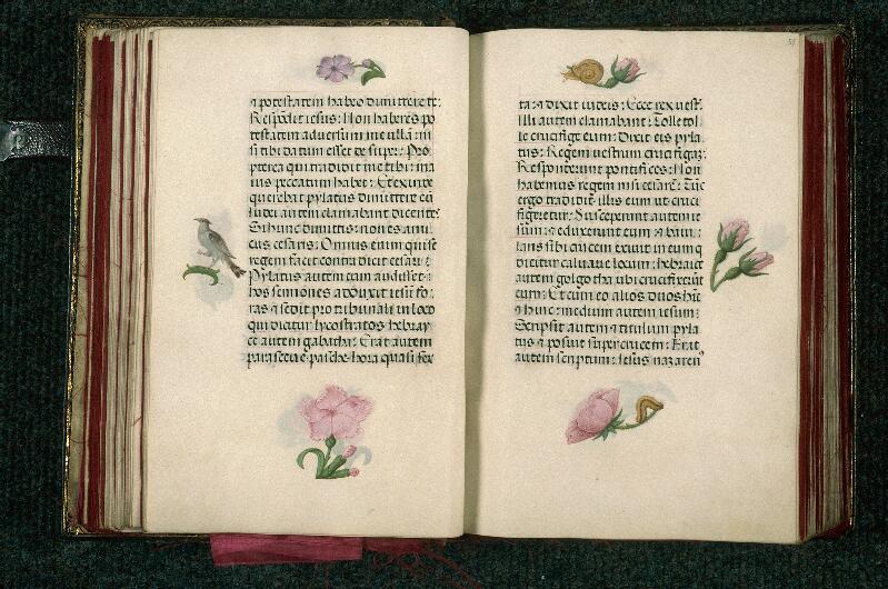 Rouen, Bibl. mun., ms. 3028, f. 054v-055