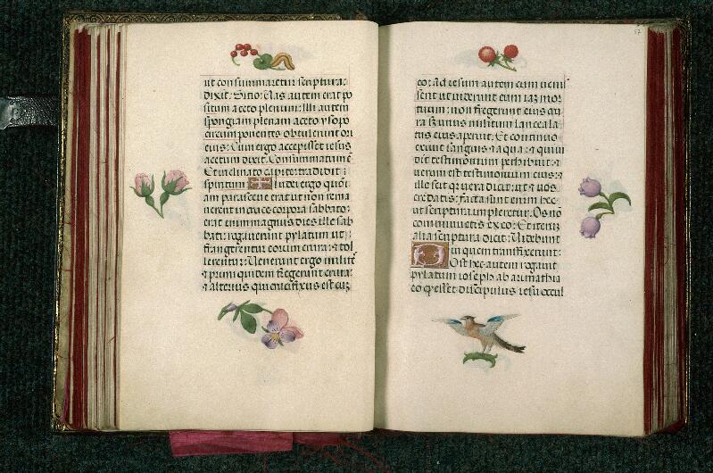 Rouen, Bibl. mun., ms. 3028, f. 056v-057