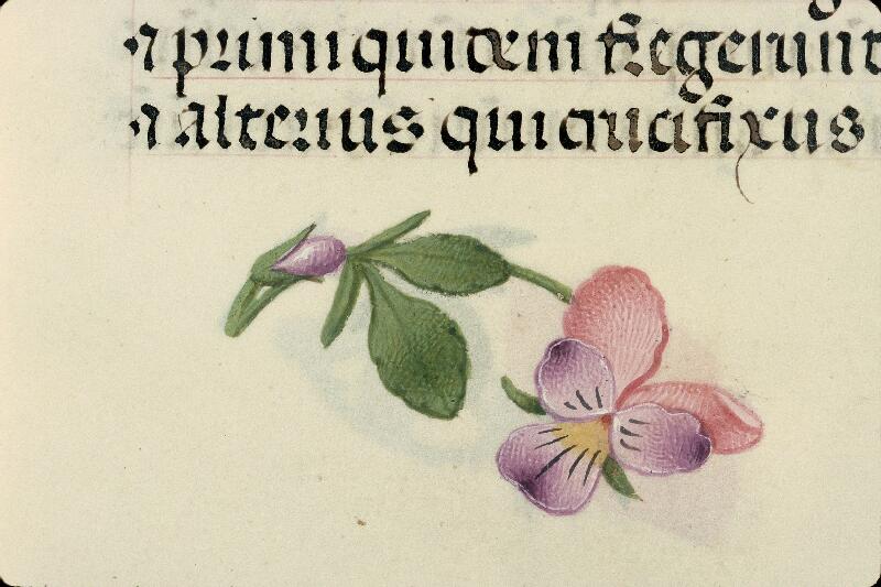 Rouen, Bibl. mun., ms. 3028, f. 056v