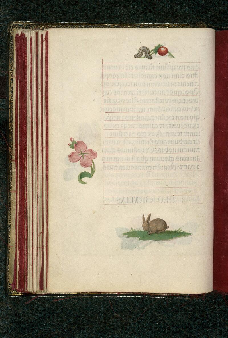 Rouen, Bibl. mun., ms. 3028, f. 060v
