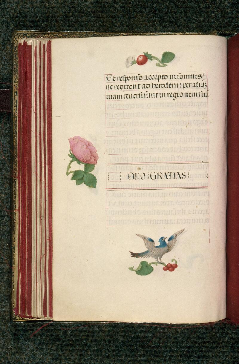 Rouen, Bibl. mun., ms. 3028, f. 064v