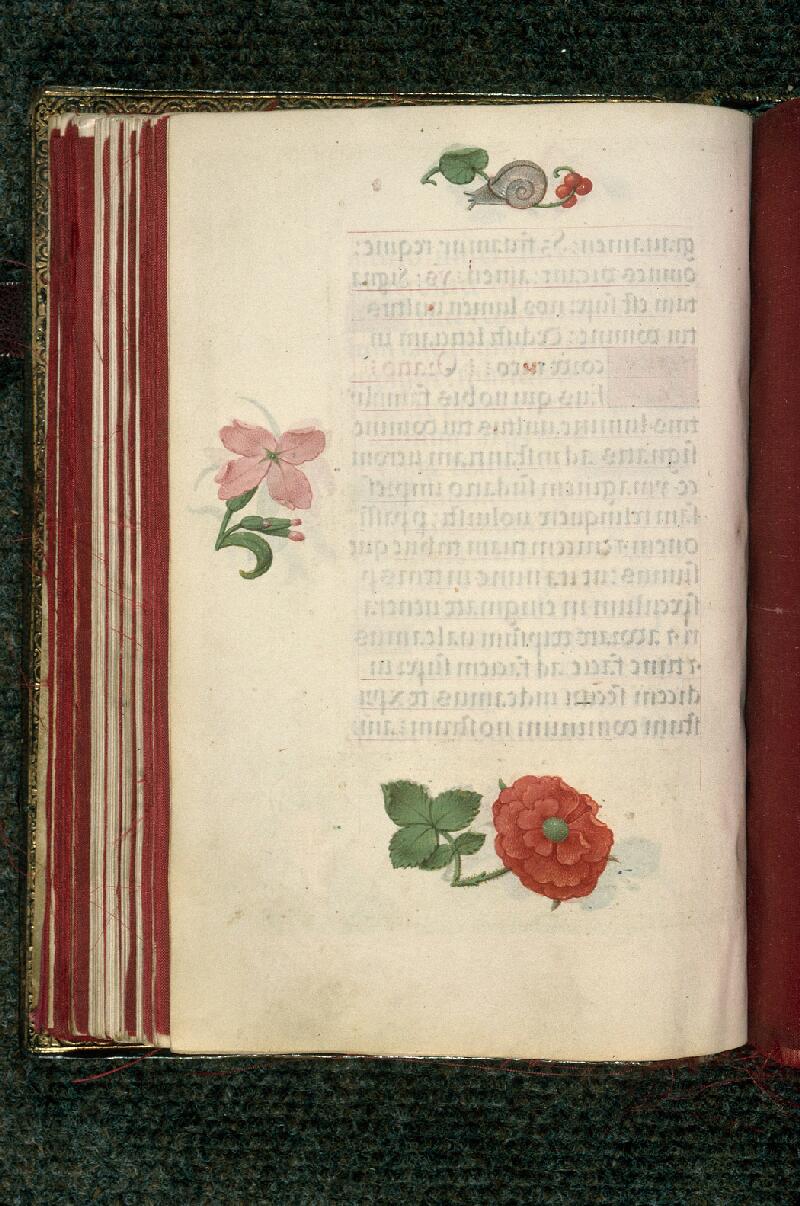 Rouen, Bibl. mun., ms. 3028, f. 068v