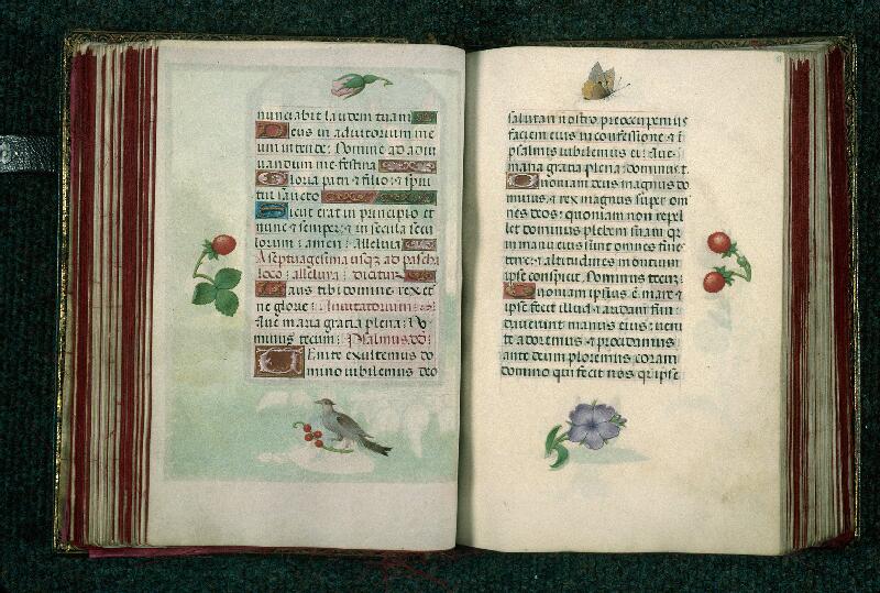 Rouen, Bibl. mun., ms. 3028, f. 087v-088