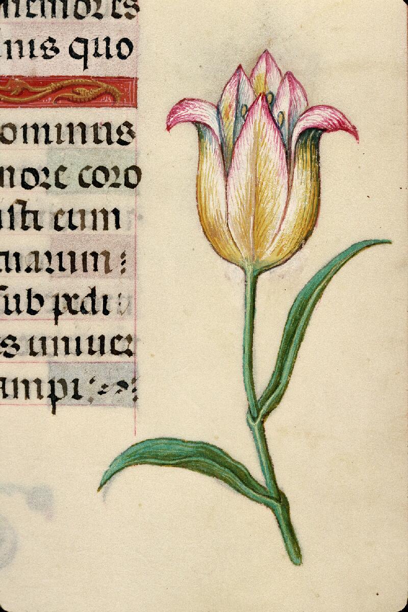 Rouen, Bibl. mun., ms. 3028, f. 090