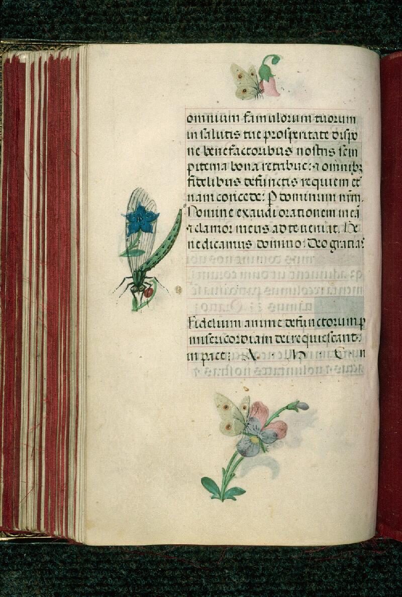 Rouen, Bibl. mun., ms. 3028, f. 115v