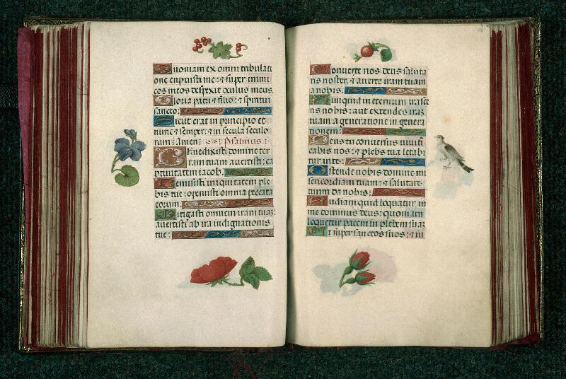 Rouen, Bibl. mun., ms. 3028, f. 117v-118
