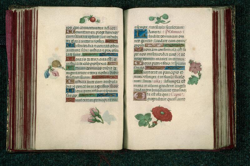 Rouen, Bibl. mun., ms. 3028, f. 118v-119