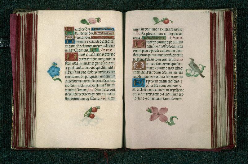 Rouen, Bibl. mun., ms. 3028, f. 124v-125