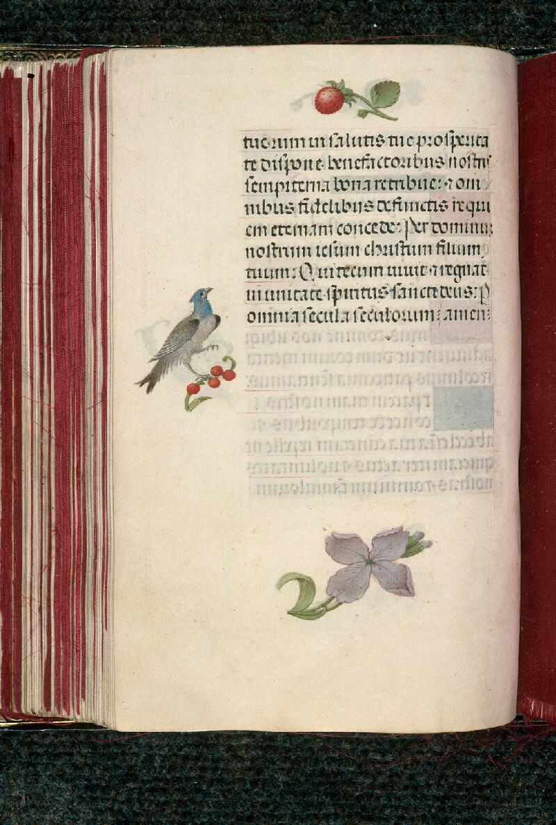 Rouen, Bibl. mun., ms. 3028, f. 125v