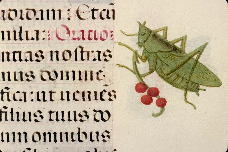 Rouen, Bibl. mun., ms. 3028, f. 152