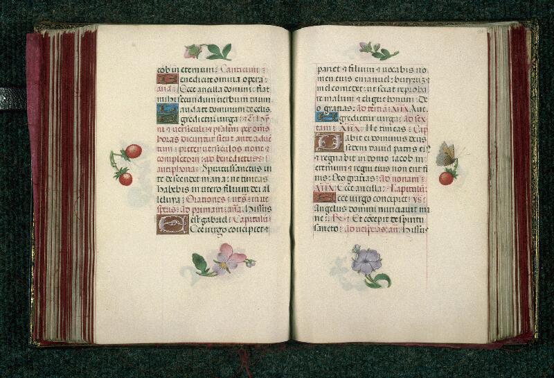 Rouen, Bibl. mun., ms. 3028, f. 155v-156