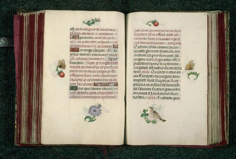 Rouen, Bibl. mun., ms. 3028, f. 156v-157