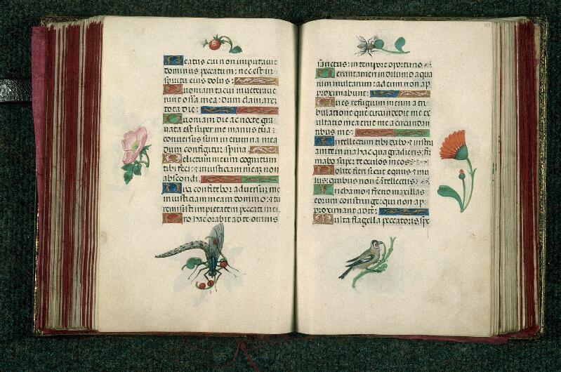 Rouen, Bibl. mun., ms. 3028, f. 160v-161