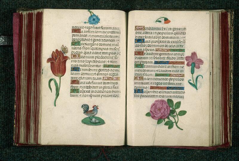 Rouen, Bibl. mun., ms. 3028, f. 166v-167
