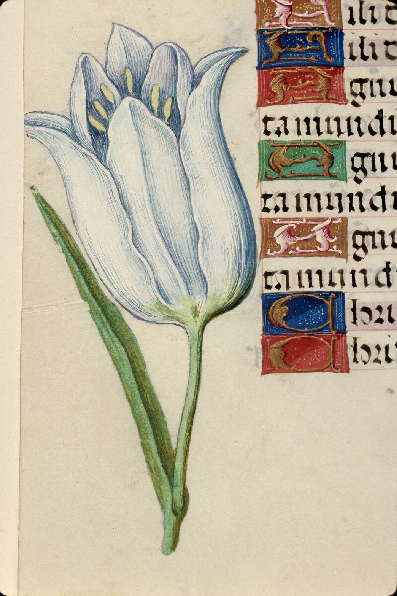 Rouen, Bibl. mun., ms. 3028, f. 174v